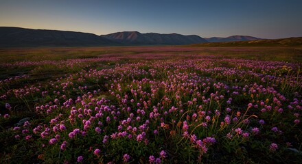 Obraz premium A stunning landscape of vibrant pink flowers with mountains under a dusky and beautiful sky.