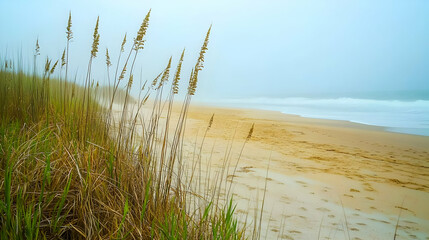 Serene Beach Landscape: Fog Sand and Sea Oats