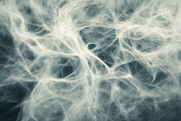 Obraz premium White Fibrous Network on Dark Background