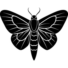 Moth Silhouette vector illustration