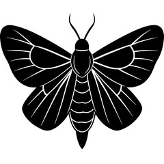 Moth Silhouette vector illustration