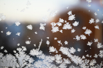 Winter Frost Patterns on Glass Window in Morning Sunlight