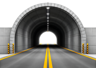 Road disappearing into a dark tunnel.
