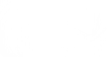 Clean, simple white texture. Perfect for backgrounds, websites, and designs.