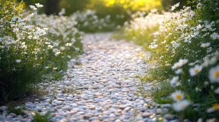 Sunlit Stone Path Through White Daisies Meadow