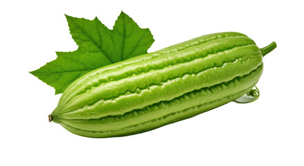 Fresh Luffa Vegetable Leafy Elements Isolated Transparent Background PNG Bright Fresh Clean Detailed