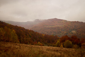 Colorful autumn landscape with vibrant foliage in a serene valley at dusk. Autumn hiking in Carpathian Mountains, Ukraine