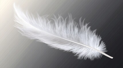 Obraz premium Elegant White Feather on Transparent Background for Creative Projects