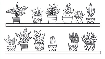 Houseplants in pots on shelves, indoor gardening, home decor