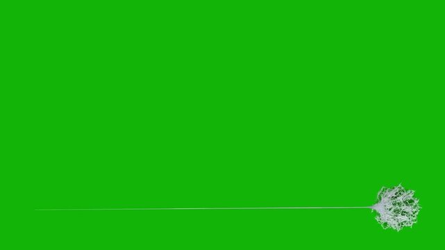 Spider man Web green screen backgrounds 4k, The video element of on a green screen background, Ultra High Definition, 4k video, on a green screen background.