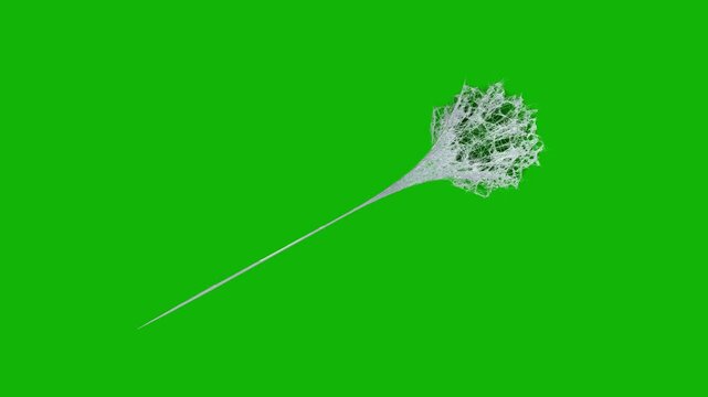 Spider man Web green screen backgrounds 4k, The video element of on a green screen background, Ultra High Definition, 4k video, on a green screen background.