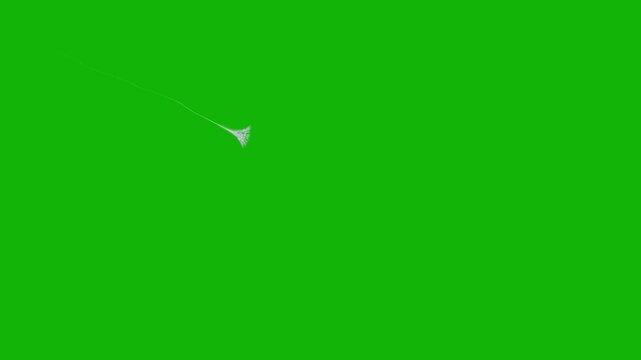 Spider man Web green screen backgrounds 4k, The video element of on a green screen background, Ultra High Definition, 4k video, on a green screen background.