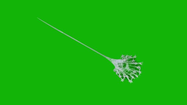 Spider man Web green screen backgrounds 4k, The video element of on a green screen background, Ultra High Definition, 4k video, on a green screen background.
