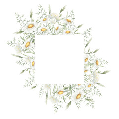 Wildflowers chamomile, yarrow and meadow grasses. Hand drawn isolated watercolor square frame of yellow and white field rustic flowers with copy space for wedding invitations, postcards and cards.