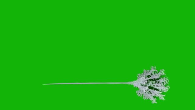 Spider man Web green screen backgrounds 4k, The video element of on a green screen background, Ultra High Definition, 4k video, on a green screen background.