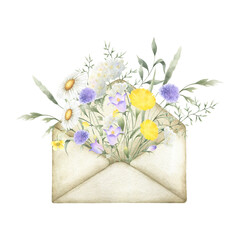 Watercolor wildflowers chamomile, bellflower, yarrow, dandelion and meadow grasses in old vintage envelope. Field yellow, lilac, white flowers hand drawn isolated illustration for postcards, stickers.