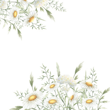 Wildflowers chamomile, yarrow and meadow grasses. Hand drawn isolated watercolor square frame of yellow and white field vintage flowers with copy space for wedding invitations, postcards and cards.