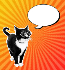 Halftone black and white cat talking bubble sunny collage design background