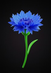 Vivid blue cornflower blossom, isolated against a stark dark background, radiating beauty and showcasing detailed petal texture