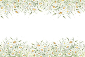 Wildflowers chamomile, yarrow and meadow grasses hand drawn isolated watercolor rectangular frame of yellow and white vintage flowers on green stain and splash. Horizontal banner with copy space.