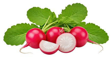 Ripe Radish Bunch Leaves Sliced Juicy Interior Isolated Transparent Background PNG Fresh Crisp Detail