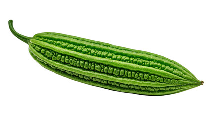 Whole Luffa Natural Stem Isolated Transparent Background PNG Deep Green Ridged Surface Sharp Clean...