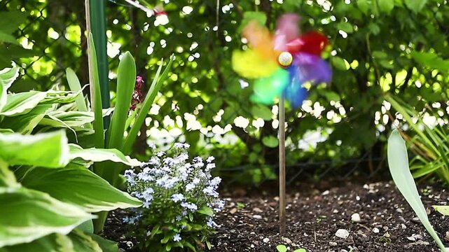 Colorful windwheel in the garden, summertime, cinemagraph