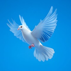 Fototapeta premium Dove Flying in Blue Sky Spreading Wings in Flight