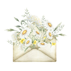 Watercolor wildflowers chamomile, yarrow, buttercup and meadow grasses in old vintage envelope. Field yellow and white flowers hand drawn isolated retro illustration for romantic postcard and sticker.