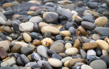 Sea stones