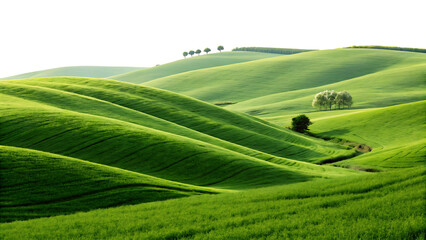 green grass on mountains