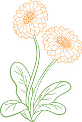 꽃, flower, 식물, 네이처, 꽃다발, 블로섬, 봄, 여름, 그리기, 미, 벡터