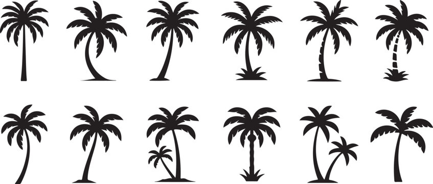 Palm tree icon set. Tropical palm trees in varying sizes Vector silhouette on a transparent background.