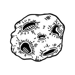 coral stone vector illustration