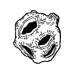 vector illustration of a asteroid stone