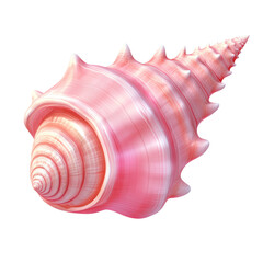 Tourmaline shell with intricate spiral patterns close up
