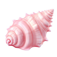 Beautiful pink conch shell with spiral detail