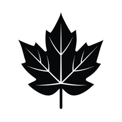 fall leaf icon silhouette vector illustration