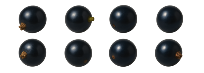 Eight blackcurrants rotating on transparent background