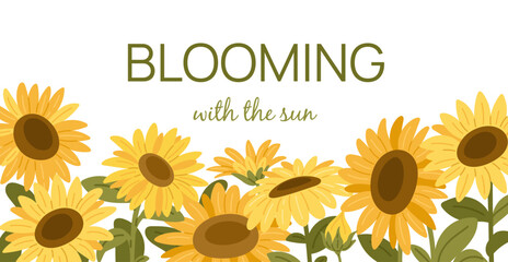 Cartoon sunflowers frame poster. Summer yellow flowers with oilseeds, blooming plants, decorative floral banner, horizontal background with copy space for text garish vector isolated concept