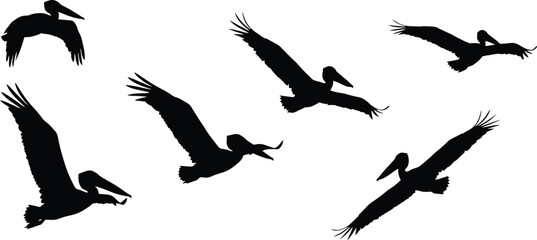 A vector set of black bird silhouettes in flight captures the freedom of wild animals with outstretched wings transparent AI Generative