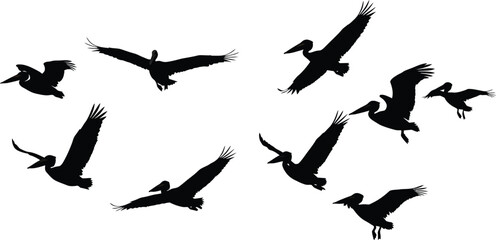 Vector silhouettes of flying birds illustrate wild freedom in nature's sky transparent AI Generative