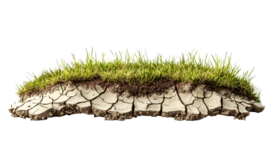 Dried Soil Formation with Green Grass on Top Layered Texture Isolate on Transparent Background, cutout, png