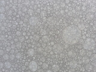 Monochrome Abstract Foam Bubble Background