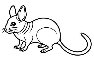 Elegant Jerboa Sketch