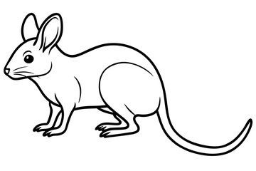 Elegant Jerboa Sketch