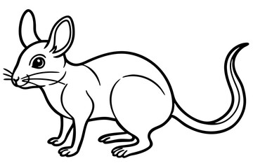 Fototapeta premium Elegant Jerboa Sketch