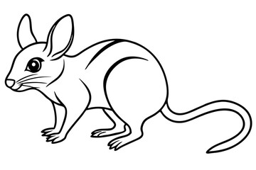 Fototapeta premium Elegant Jerboa Sketch