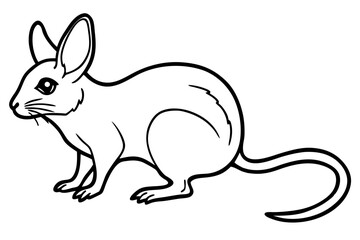Elegant Jerboa Sketch