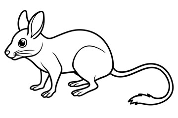 Fototapeta premium Elegant Jerboa Sketch